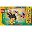 TOUCAN TROPICAL - CREATOR 3E1