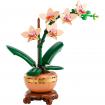 ORCHIDEE MINIATURE - BOTANIC