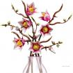 LEGO® Botanicals - Branches de magnolia