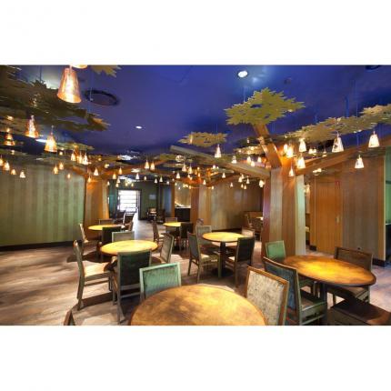 Coffret Séjour Magique+ au Disney Sequoia Lodge