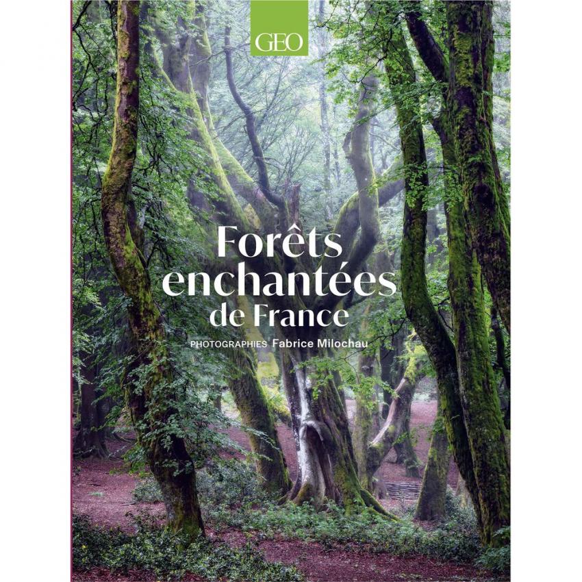 Forêts enchantées : la France hors les sentiers