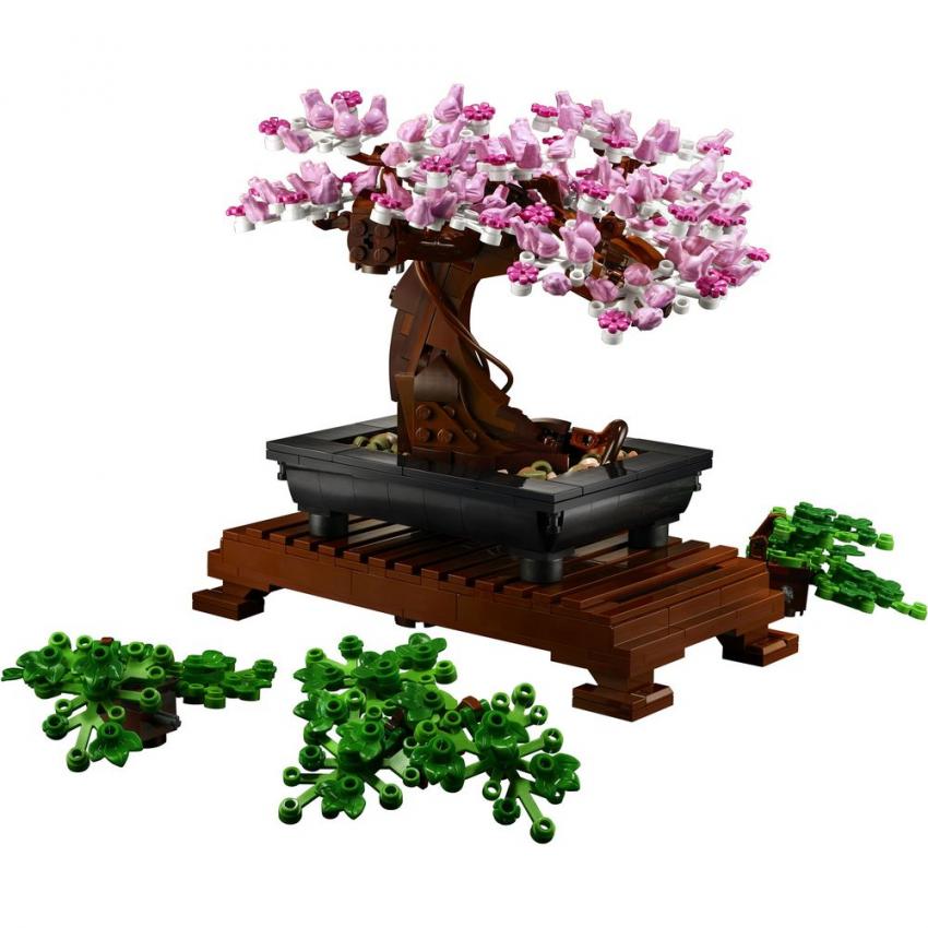 BONSAI - CREATOR