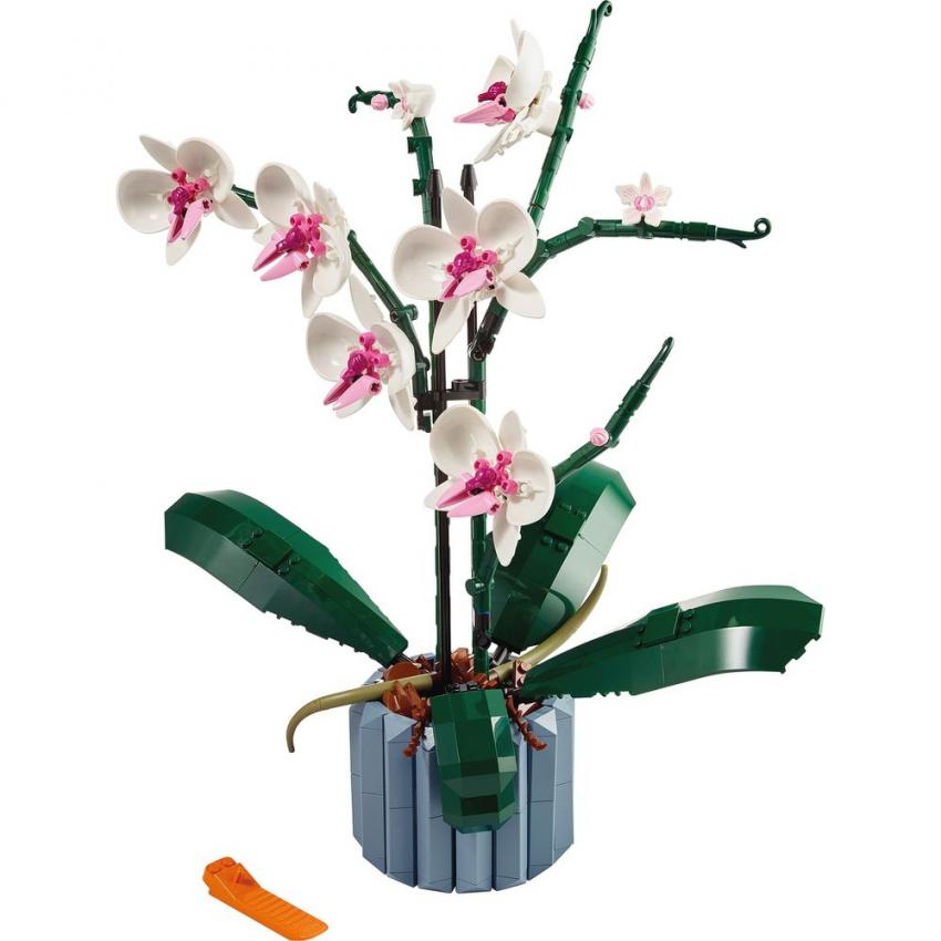 L ORCHIDEE - CREATOR