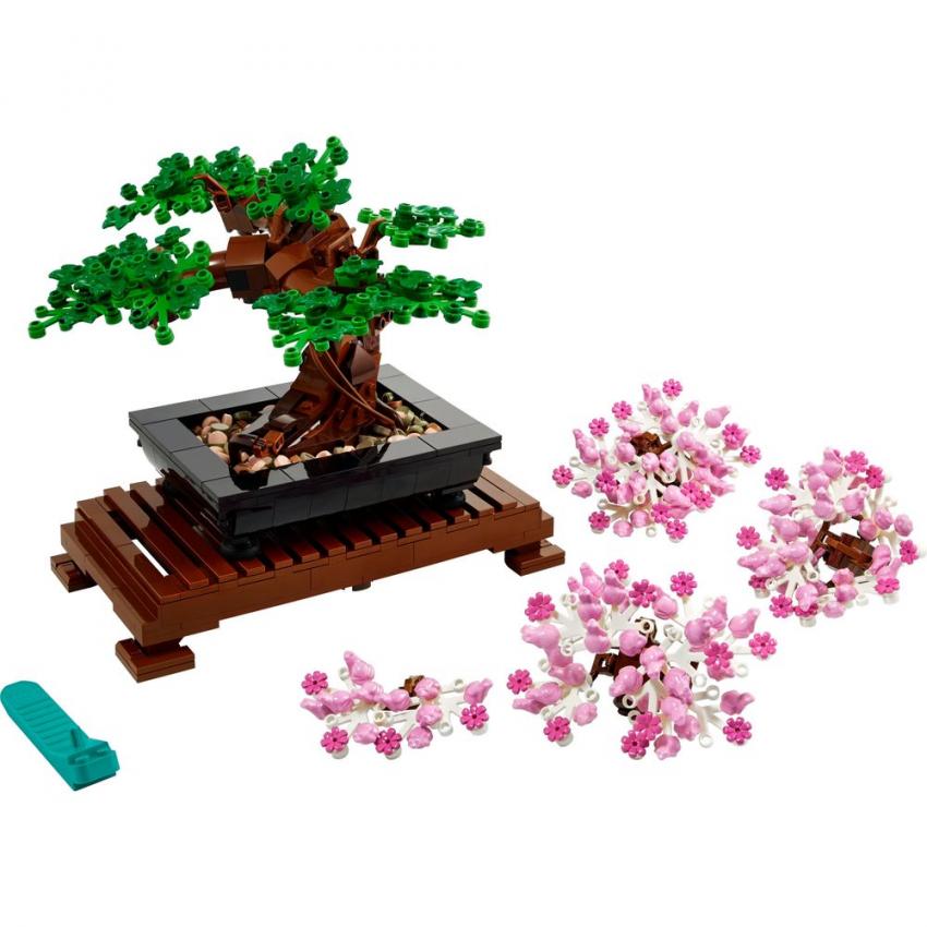 BONSAI - BOTANIC