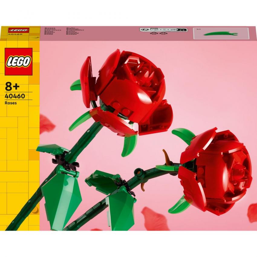 LES ROSES - BOTANIC