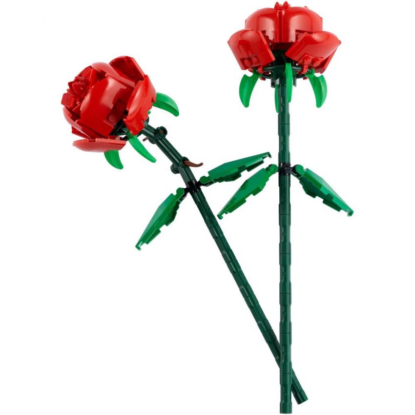 LES ROSES - BOTANIC