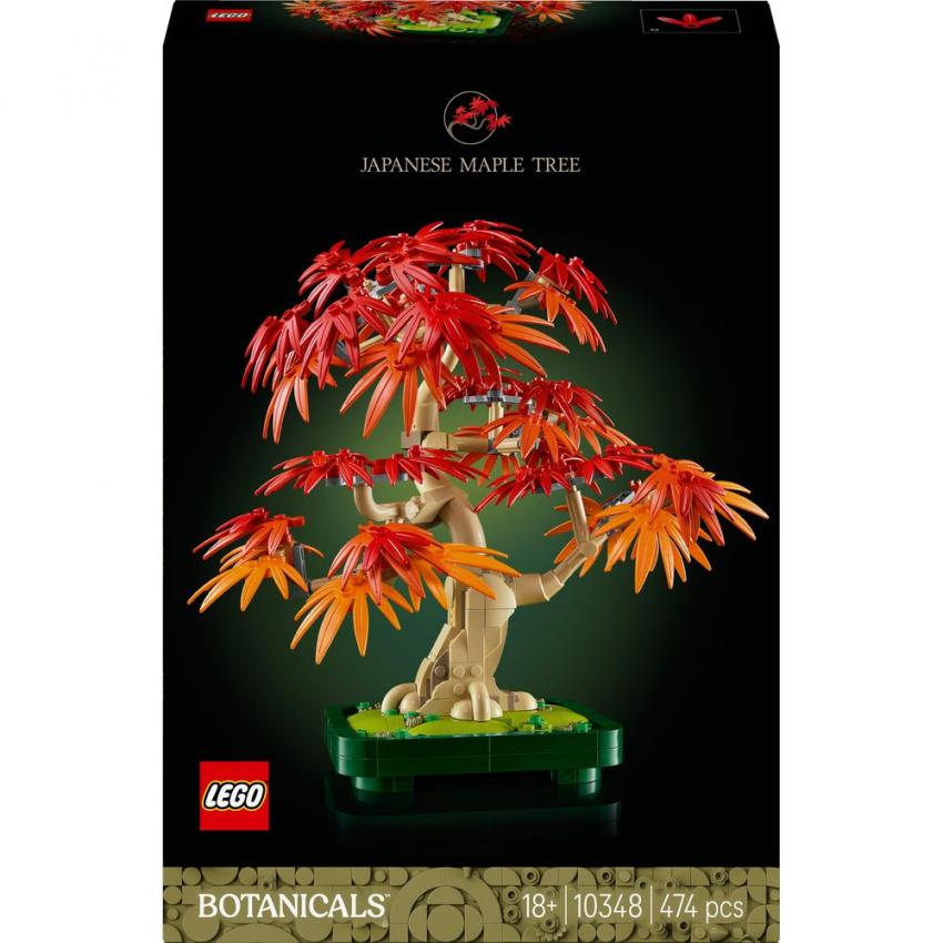 BONSAI ERABLE ROUGE DU JAPON - BOTANIC