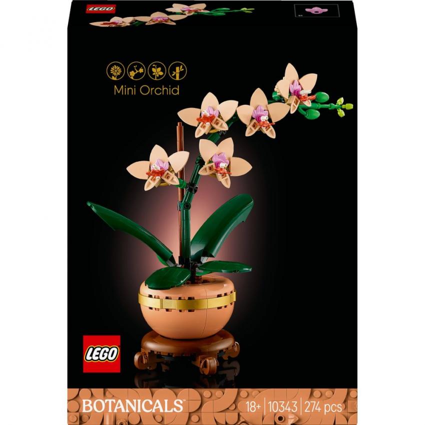 ORCHIDEE MINIATURE - BOTANIC