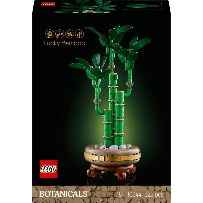 LE BAMBOU DE LA CHANCE - BOTANIC